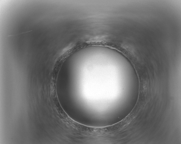 X0000054441350200508051848