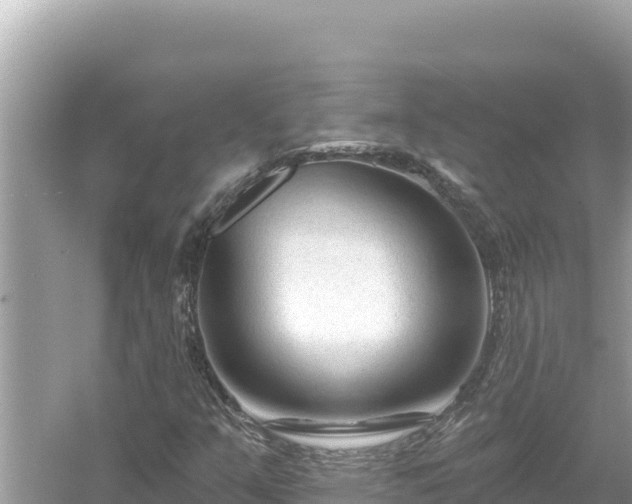 X0000054441351200508051848