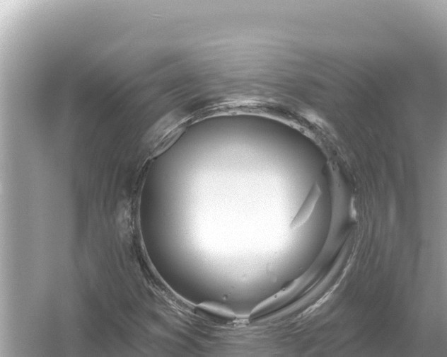 X0000054441353200508051848