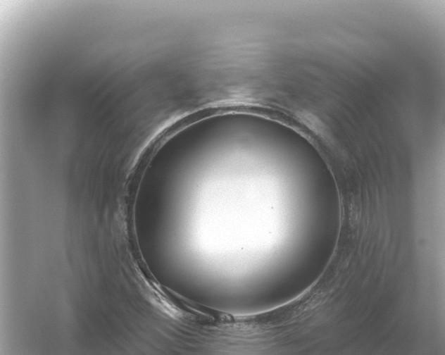 X0000054441356200508051848