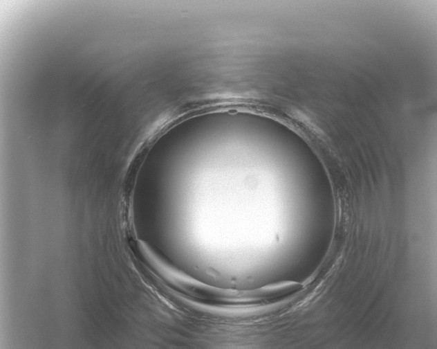 X0000054441357200508051848