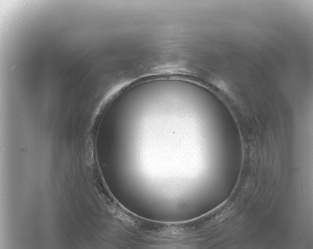 X0000054441358200508051848