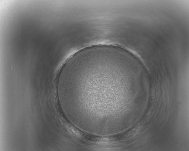 X0000054441359200508051848