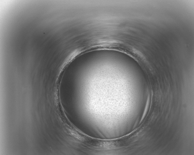 X0000054441362200508051848