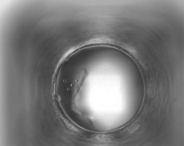 X0000054441366200508051848