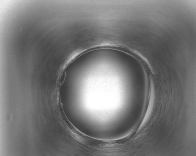 X0000054441367200508051848