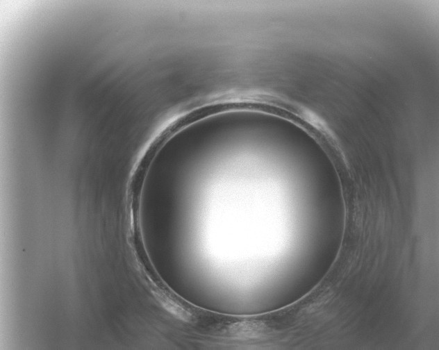 X0000054441368200508051848