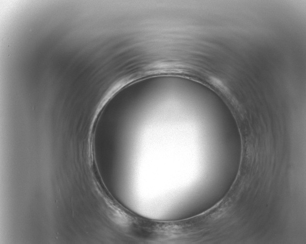 X0000054441370200508051848