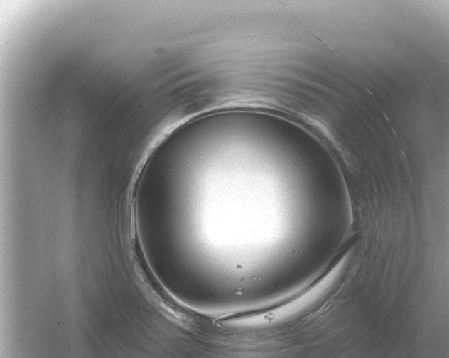 X0000054441371200508051848