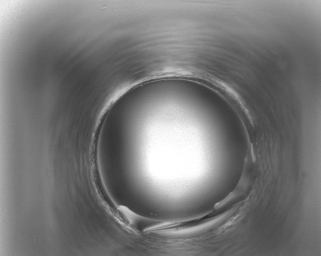 X0000054441373200508051848