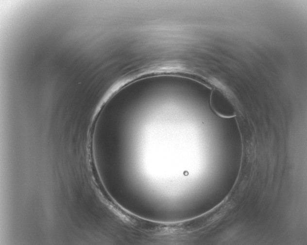 X0000054441374200508051847