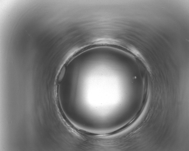 X0000054441376200508051847