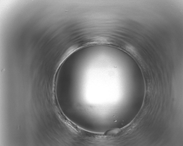 X0000054441378200508051847