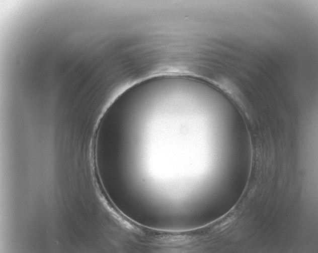 X0000054441382200508051847