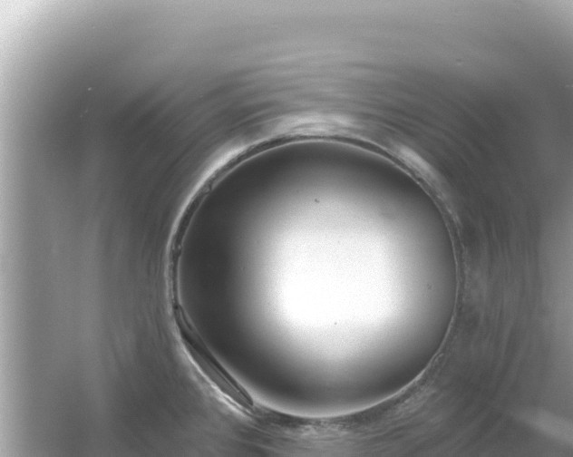 X0000054441384200508051847