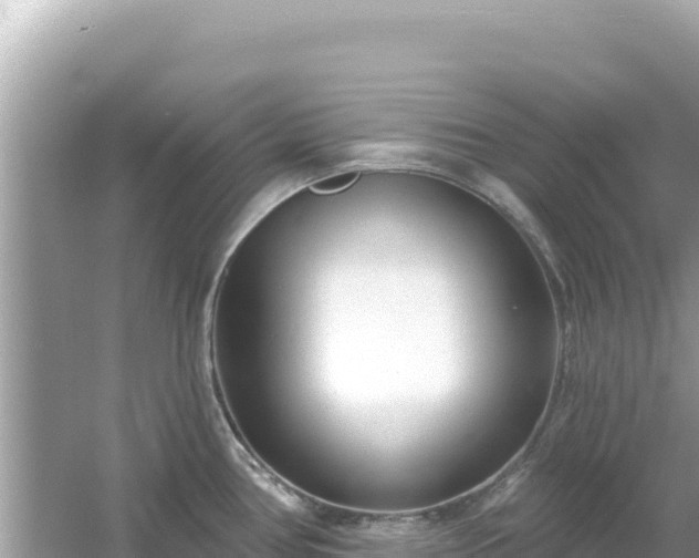 X0000054441386200508051847