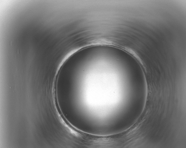 X0000054441387200508051847