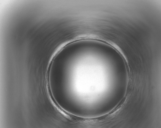 X0000054441389200508051847