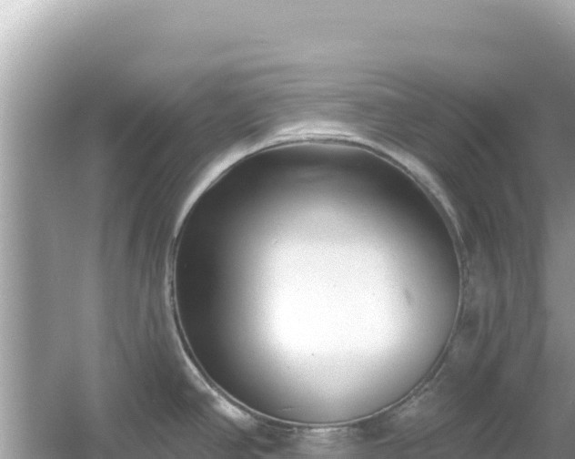 X0000054441390200508051847