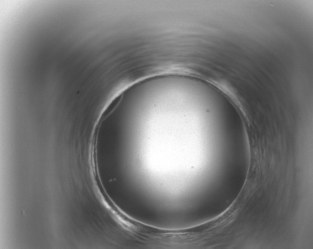 X0000054441391200508051847