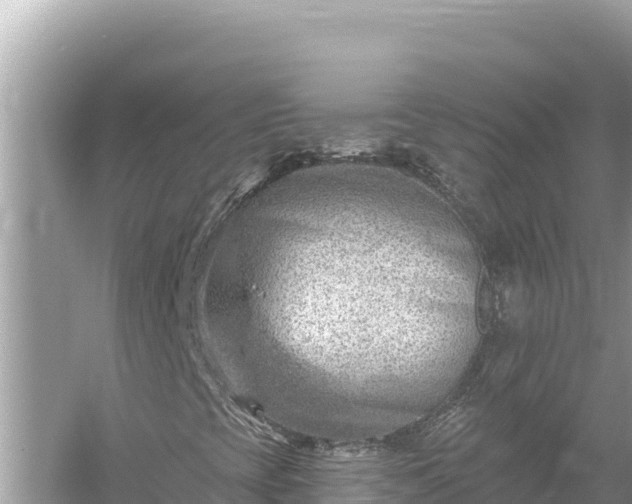 X0000054441393200508051846