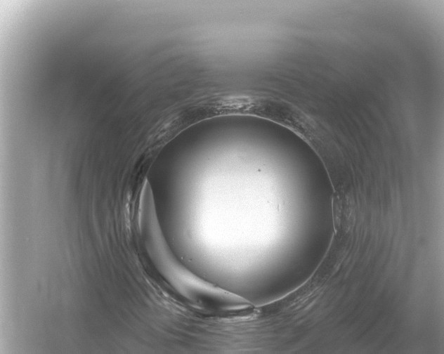 X0000054441394200508051846