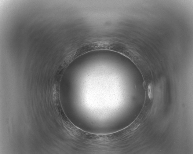 X0000054441395200508051846