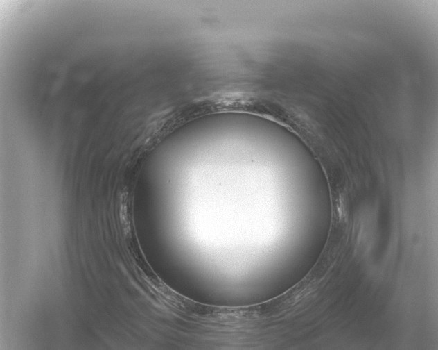 X0000054441396200508051846