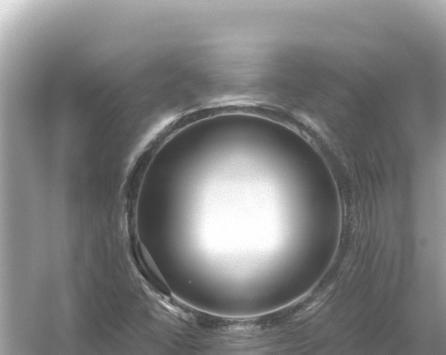 X0000054441406200508051847