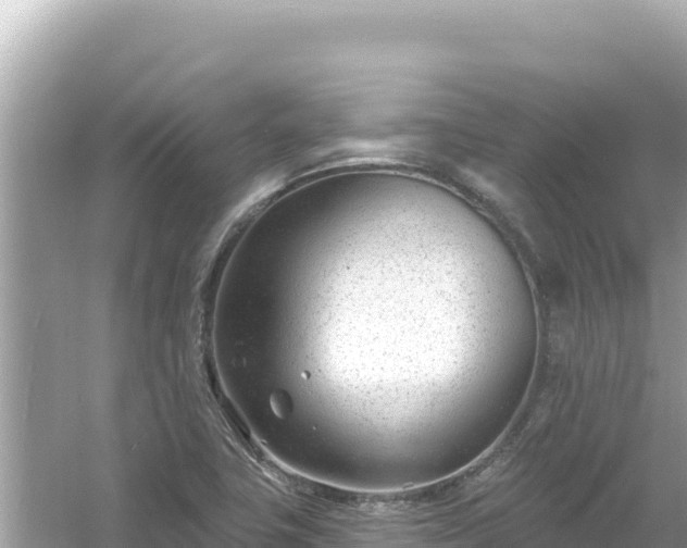 X0000054441411200508051847