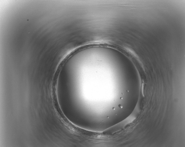 X0000054441412200508051847