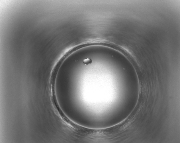 X0000054441414200508051847