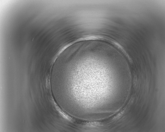 X0000054441417200508051847