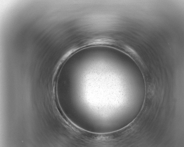 X0000054441419200508051847