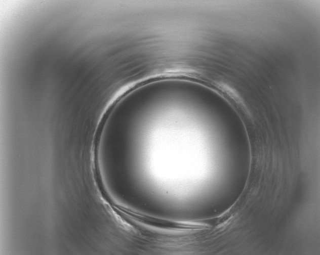 X0000054441420200508051847