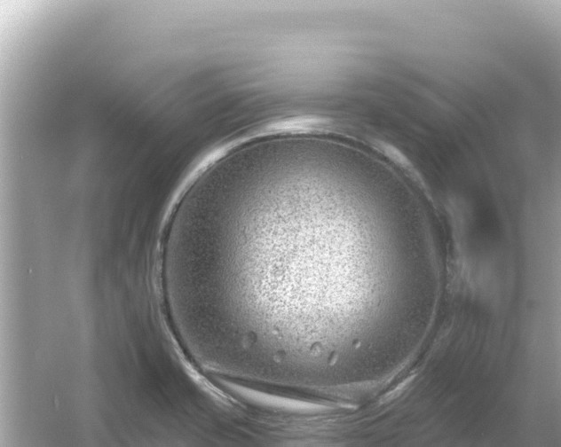 X0000054441421200508051847