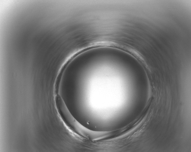 X0000054441430200508051847