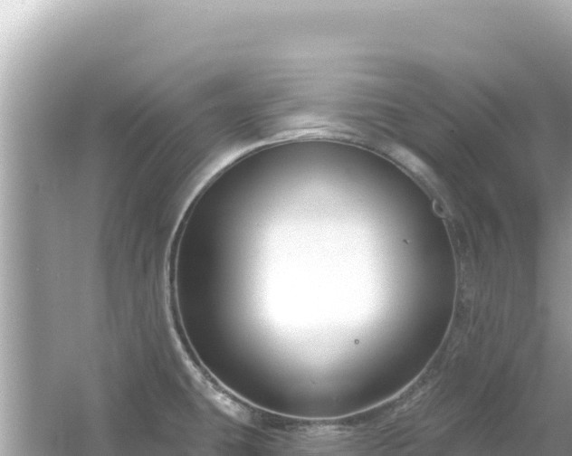 X0000054441431200508051847