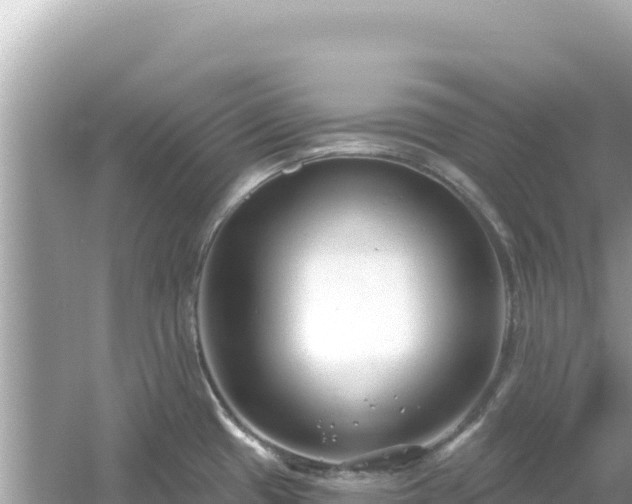 X0000054441433200508051847