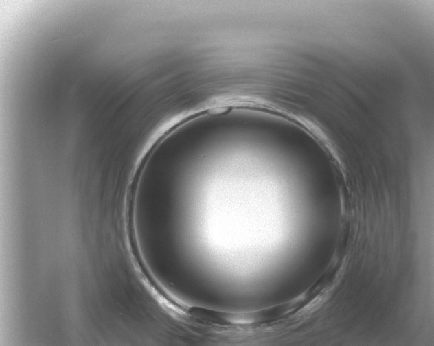 X0000054441438200508051847