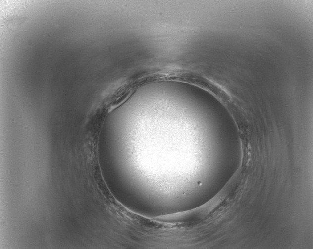 X0000054441447200508051846