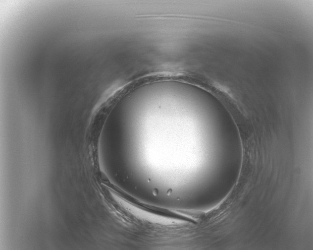 X0000054441448200508051846