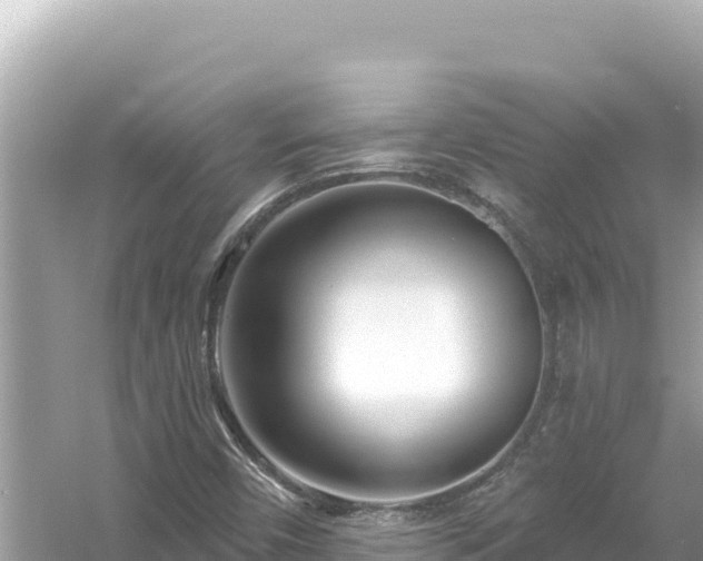 X0000054441450200508051846