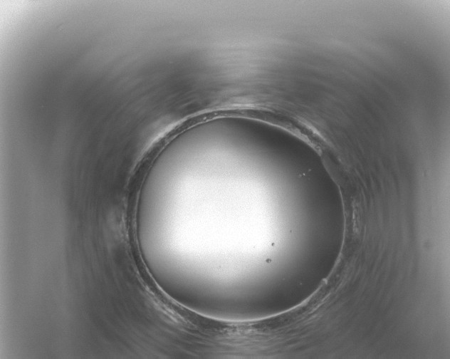 X0000054441452200508051846