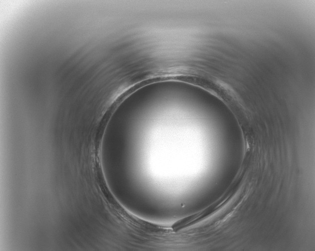 X0000054441457200508051846