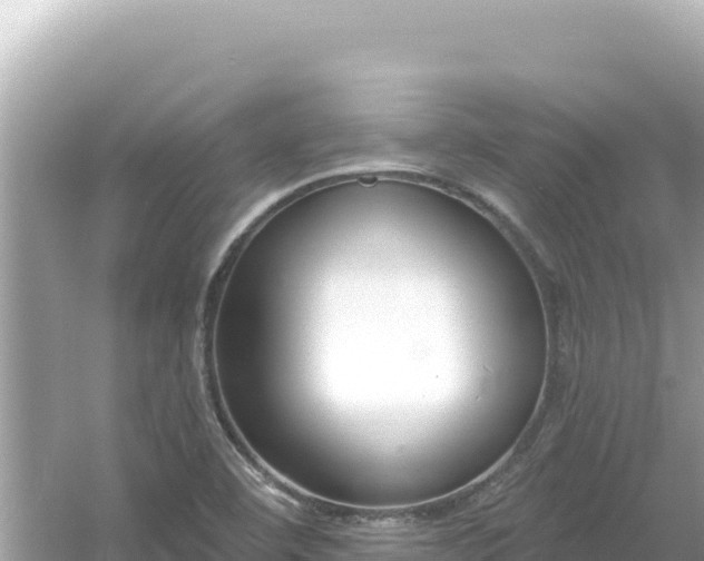 X0000054441460200508051846