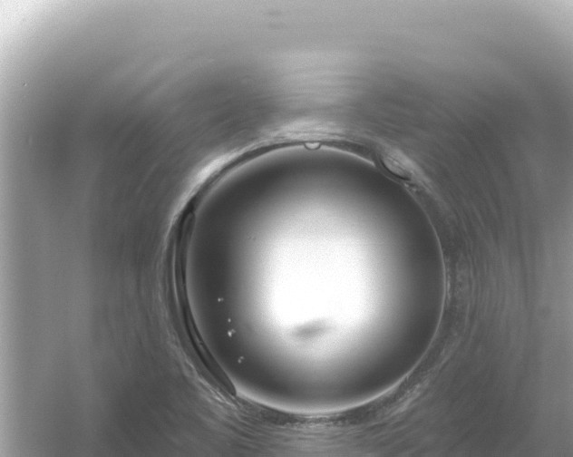 X0000054441461200508051846