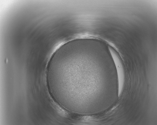 X0000054441463200508051846