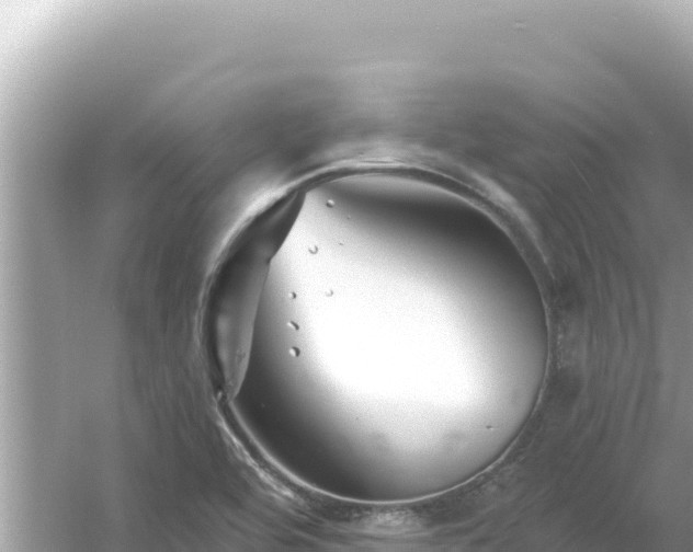 X0000054441464200508051846