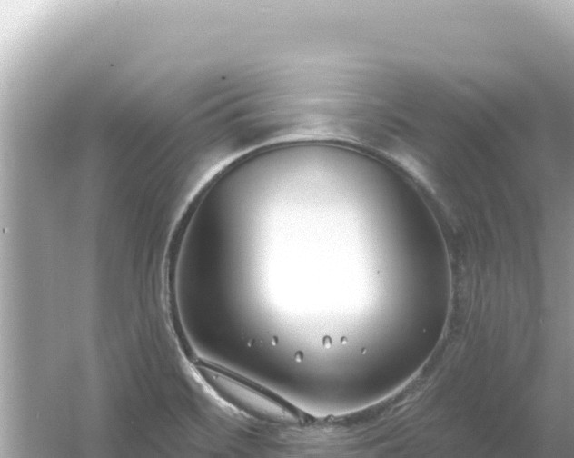 X0000054441468200508051846